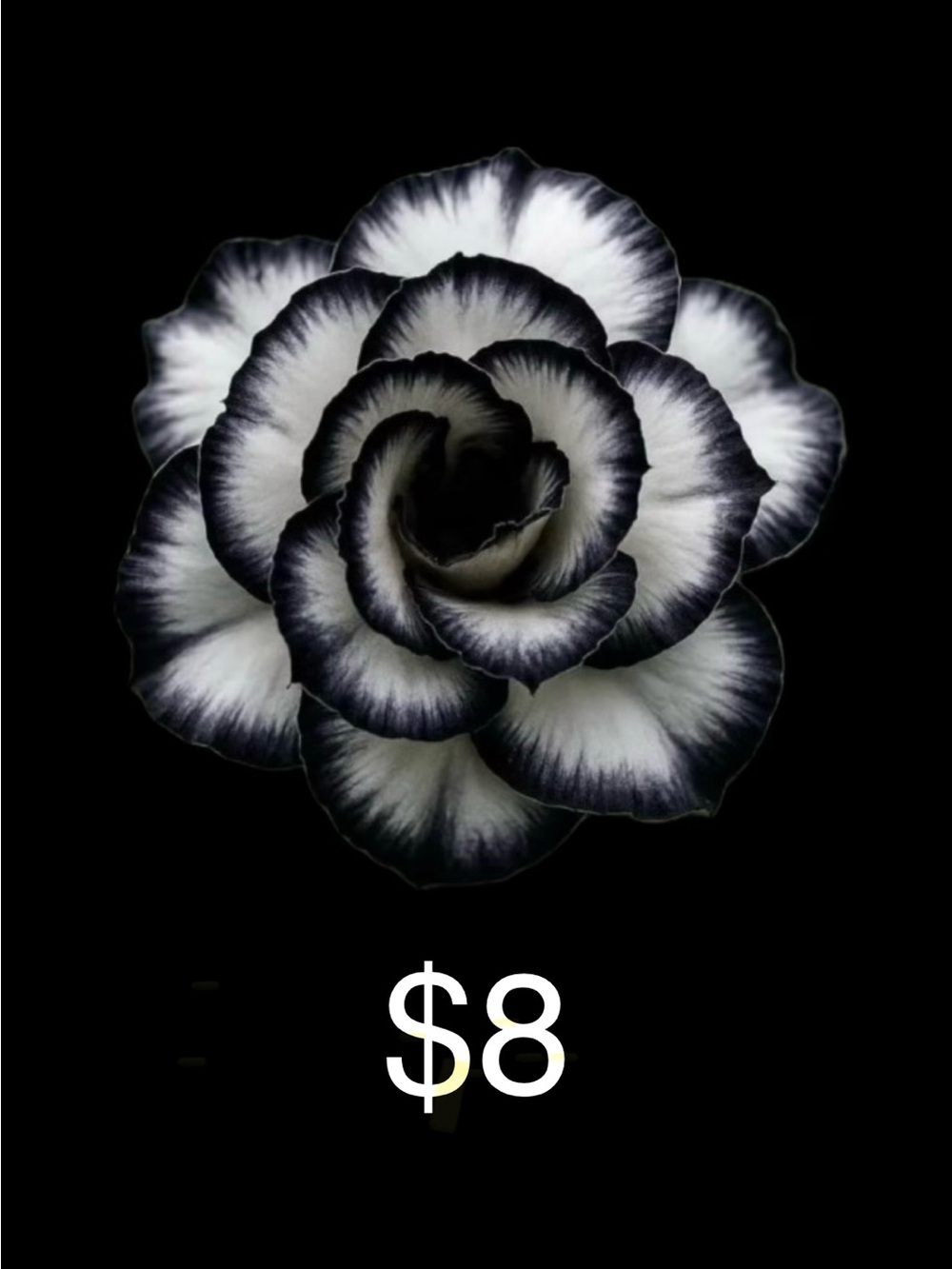 $8 start